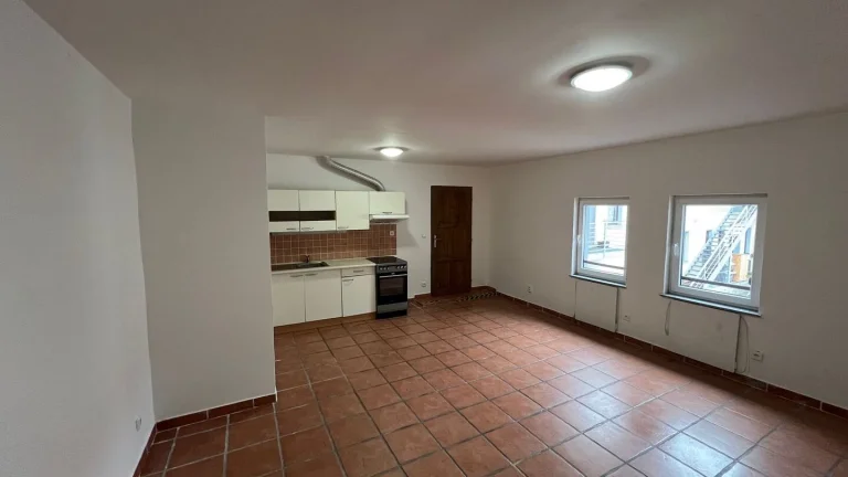 Pronájem bytu 1+kk v osobním vlastnictví 45 m², Černošice (ID 318-NP00102)