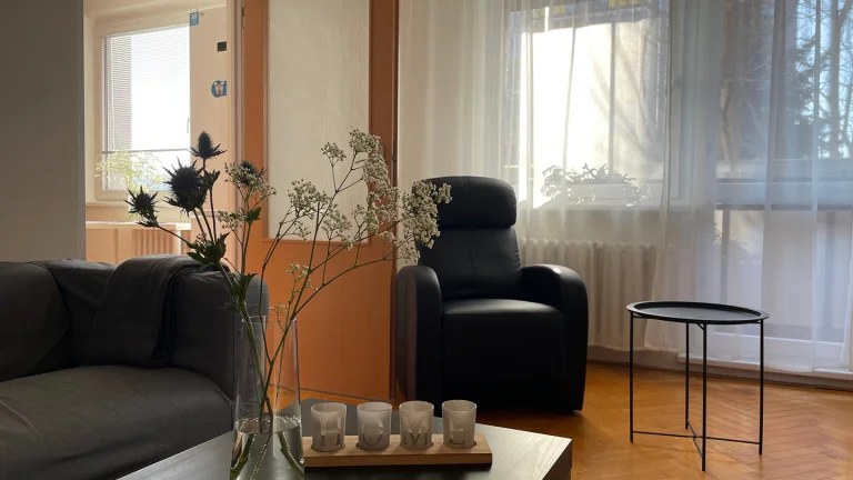 Pronájem bytu 2+1 v osobním vlastnictví 62 m², Rožnov pod Radhoštěm (ID 133-NP02397)