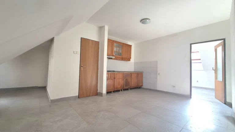 Pronájem bytu 1+1 v osobním vlastnictví 36 m², Louny (ID 032-NP09119)