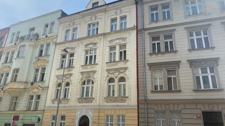 Pronájem bytu 1+kk v osobním vlastnictví 24 m², Praha 10 - Vršovice (ID 202-NP02961)