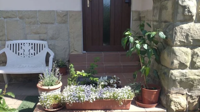 Pronájem bytu 2+1 v osobním vlastnictví 68 m², Děčín (ID 024-NP07077)