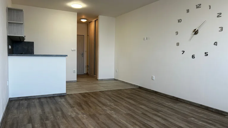 Pronájem bytu 1+kk v osobním vlastnictví 35 m², Pohořelice (ID 277-NP00372)