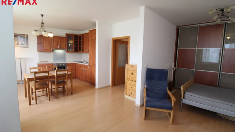 Pronájem bytu 1+kk v osobním vlastnictví 45 m², Praha 10 - Záběhlice (ID 205-NP11463)