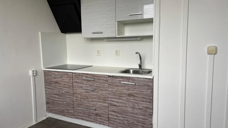 Pronájem bytu 1+1 v družstevním vlastnictví 41 m², Hradec Králové (ID 305-NP00700)
