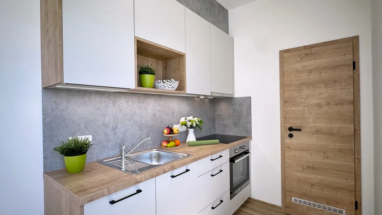 Pronájem bytu 1+kk v osobním vlastnictví 37 m², České Budějovice (ID 343-NP00421)
