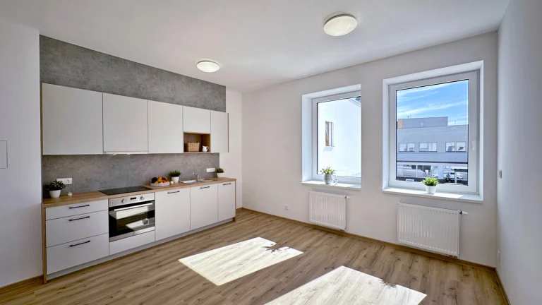 Pronájem bytu 2+kk v osobním vlastnictví 54 m², České Budějovice (ID 343-NP00415)