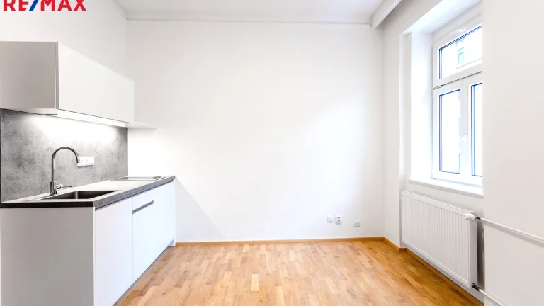 Pronájem bytu 1+kk v osobním vlastnictví 19 m², Praha 6 - Břevnov (ID 205-NP11494)