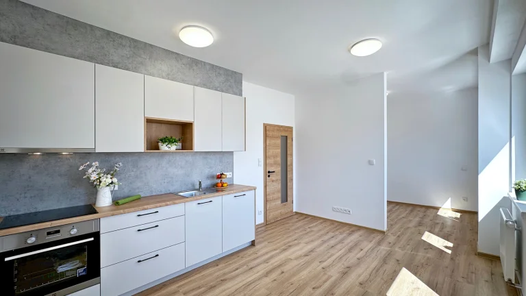 Pronájem bytu 1+kk v osobním vlastnictví 35 m², České Budějovice (ID 343-NP00422)