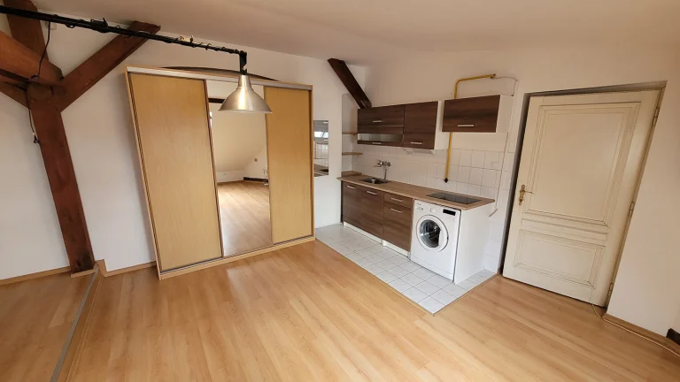Pronájem bytu 1+kk v osobním vlastnictví 44 m², Praha 1 - Nové Město (ID 175-NP01505)