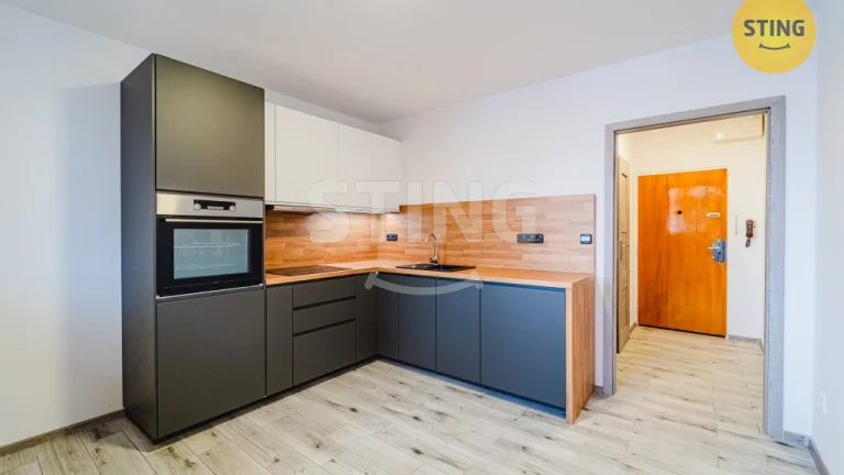 Byt 1+1 k pronájmu, Opava / Kateřinky, ulice Holasická
