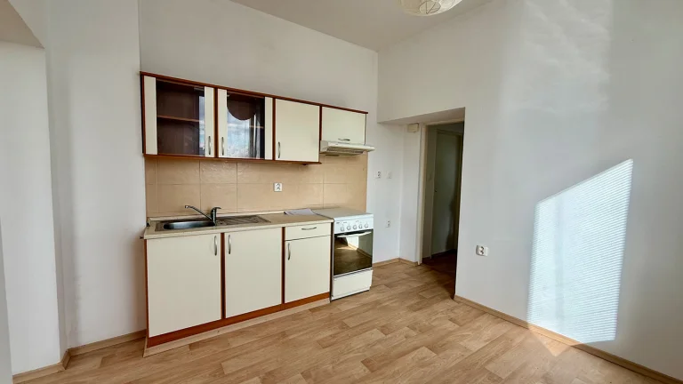 Pronájem bytu 1+1 v osobním vlastnictví 36 m², Bílovec (ID 344-NP00409)