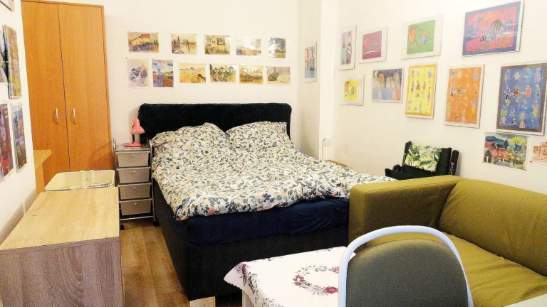 Pronájem bytu 1+kk v osobním vlastnictví 46 m², Karlovy Vary (ID 175-NP01509)