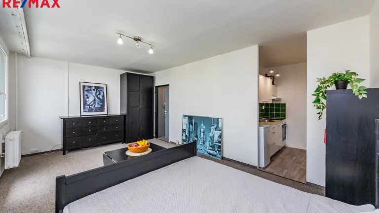 Pronájem bytu 1+kk v družstevním vlastnictví 32 m², Praha 6 - Vokovice (ID 205-NP11563)
