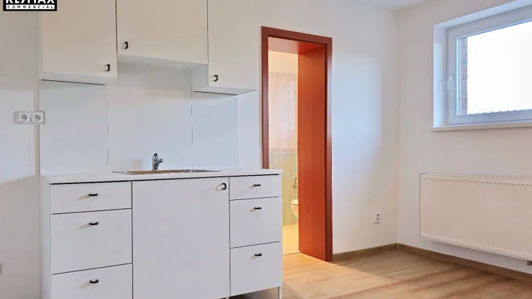 Pronájem bytu 1+kk v osobním vlastnictví 27 m², Velké Přílepy (ID 202-NP02978)