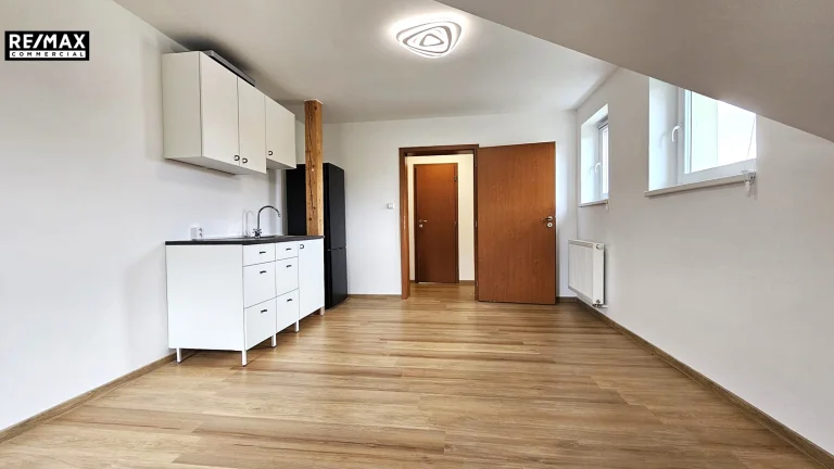 Pronájem bytu 1+kk v osobním vlastnictví 23 m², Velké Přílepy (ID 202-NP02977)