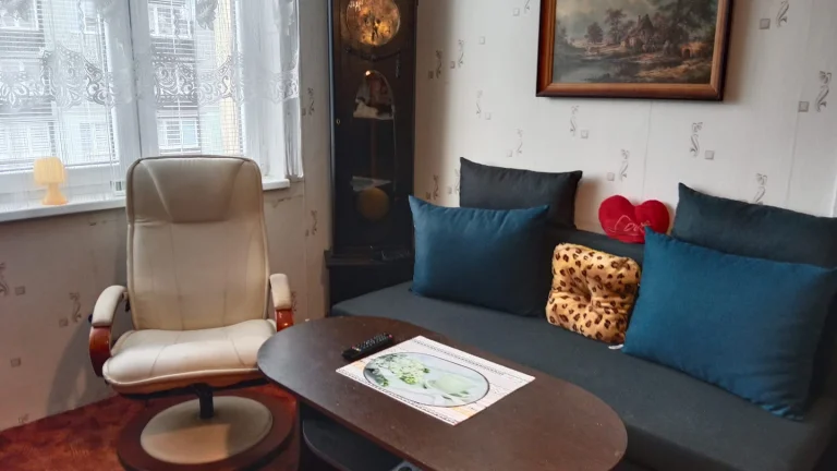 Pronájem bytu 1+1 v osobním vlastnictví 48 m², Nová Role (ID 294-NP01469)
