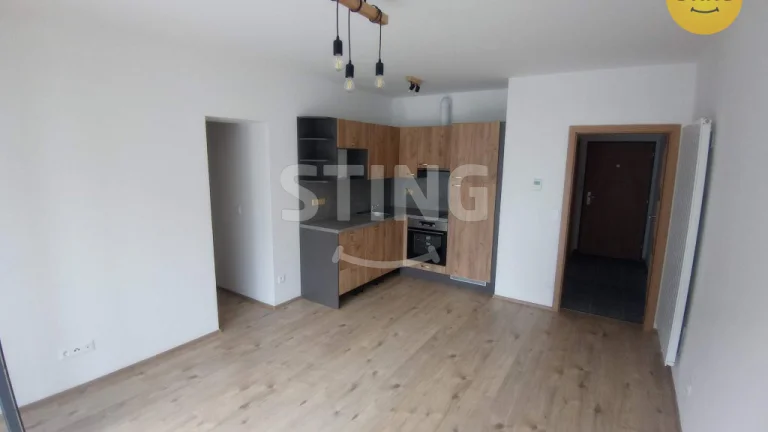 Byt 1+kk k pronájmu, Olomouc, ulice Eduarda Hamburgera