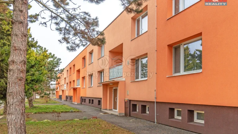 Prodej bytu 3+1, 72 m², Rebešovice, ul. Horky