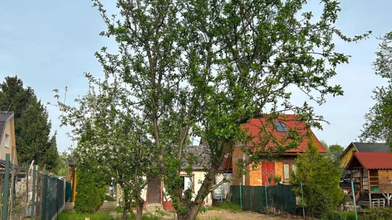 NA PREDAJ - Záhrada v Nových Zámkoch
