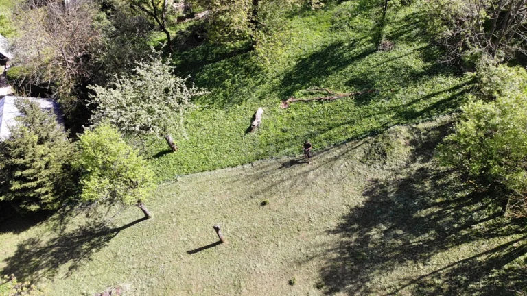 Ovocný sad s možnosťou výstavby s jedinečným výhľadom na