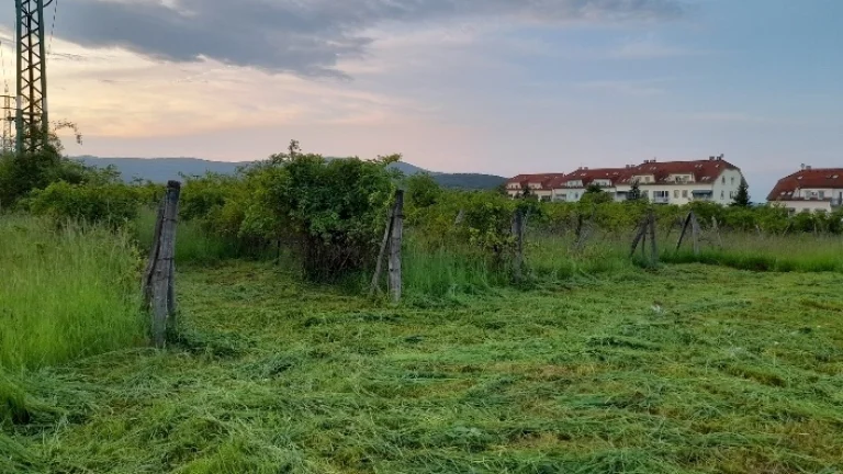 Vinosady pozemok