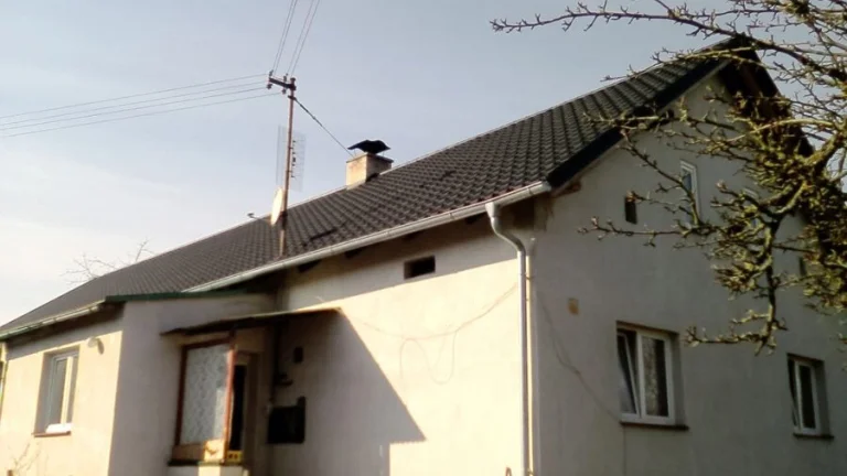 Dům s pozemkem+stodola+dřevník