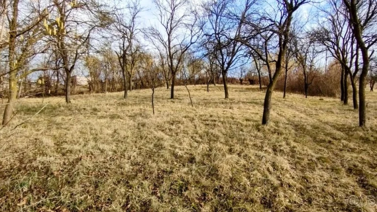 záhrada Dolná súča - 1000+1100 m2 so stromami