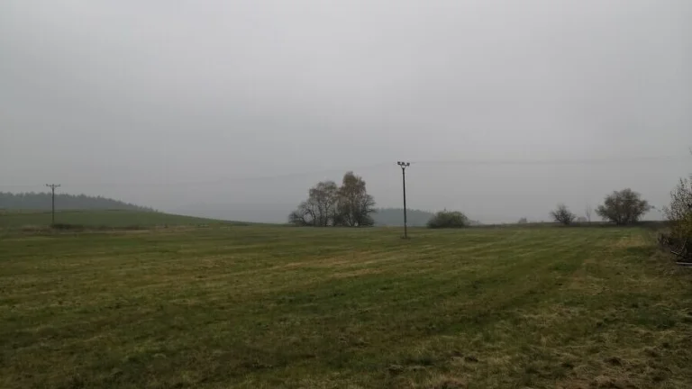 Prodej, pozemková parcela, Stanovice 9.239,5 m2