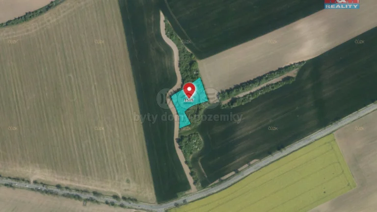 Prodej lesa, 4259 m², Kočí