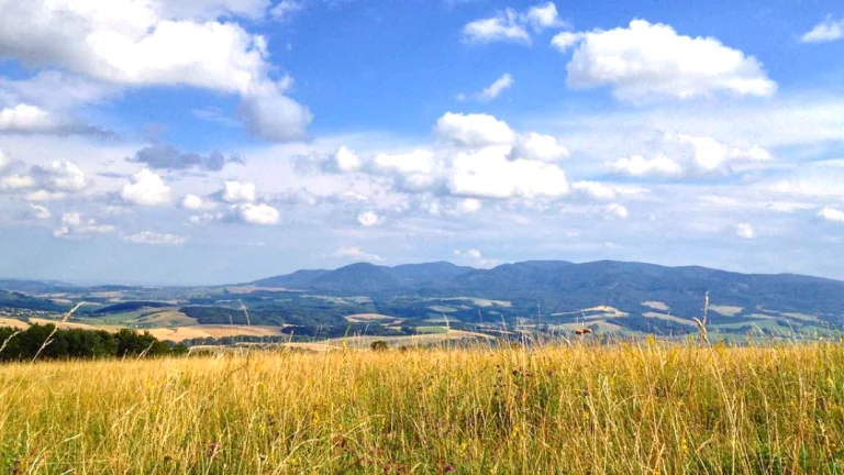 Pušovce – 16.000 m2 ORNÁ PÔDA a LES pri Prešove