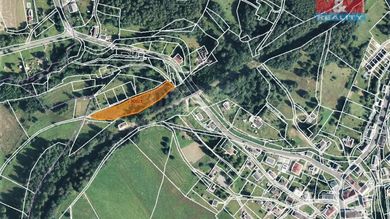 Prodej louky, 3773 m², Bernartice