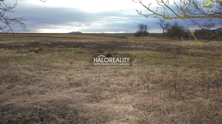 HALO reality - REZERVOVANÉ (prihláste sa na čakaciu listinu)