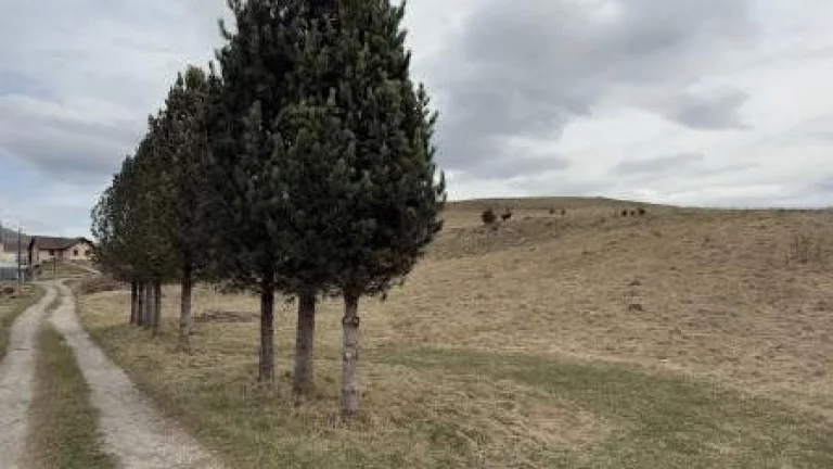 NA PREDAJ: 5x STAVEBNÉ POZEMKY BREZNO TISOVSKÁ CESTA , PODKO