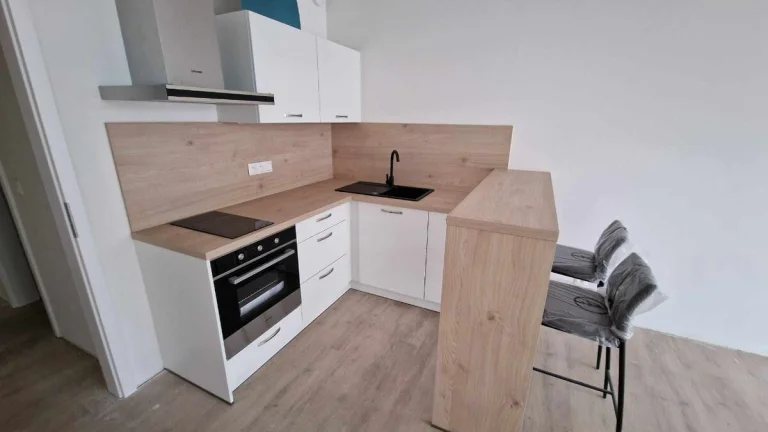 OLomouc Aloise Rašína 1+kk