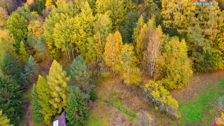 Prodej lesa, 3004 m², Skalice u České Lípy