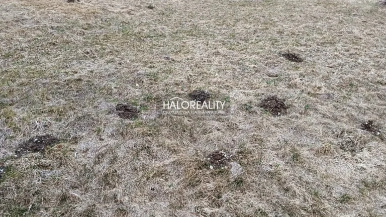 HALO reality - Predaj, rekreačný pozemok Nálepkovo, Zahájnic