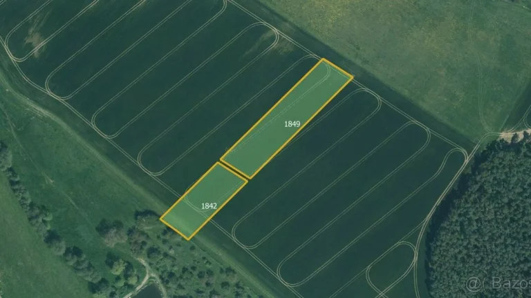 Zemědělská půda, prodej, Horušany, Soběkury, Plzeň jih