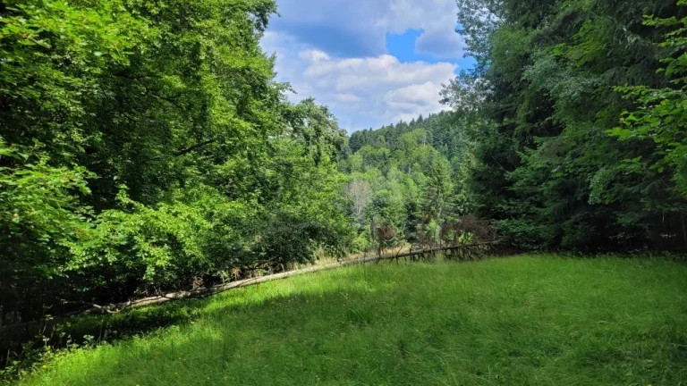 Väčší pozemok v horách nad Lazmi pod Makytou - Čertov