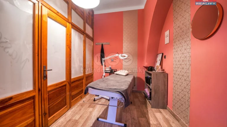 Pronájem kancelářského prostoru, 10 m², Plzeň, ul.sady 5.kv.