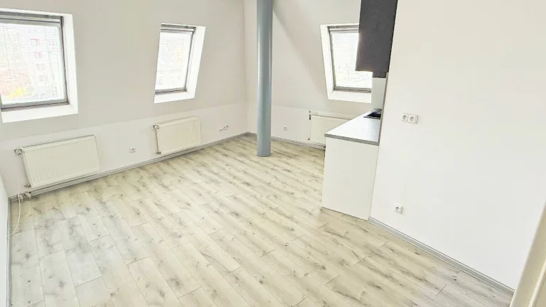 Pronájem bytu 1 + kk 30 m2 Křižná
