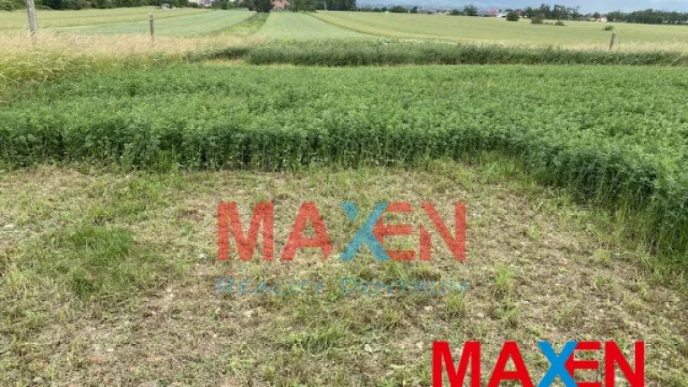 Predaj: MAXEN, Pozemok - záhrada, 2 parcely po 303 m2, sp