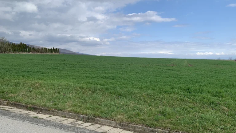 Stavebný pozemok v obci Zemplínska Teplica