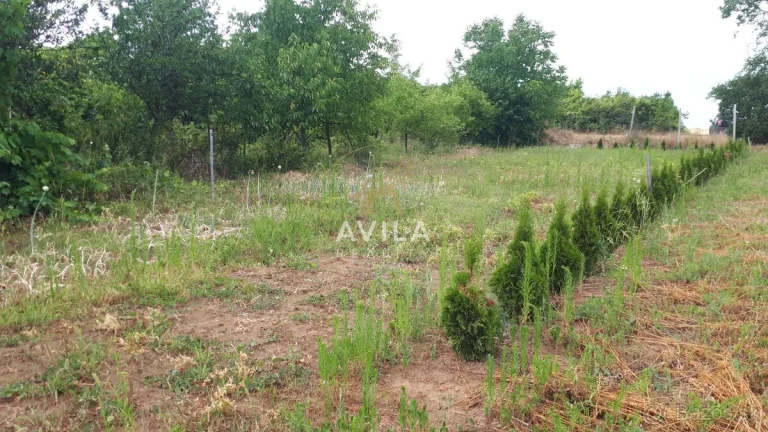 NA PREDAJ: veľká záhrada 1200m2 - Zvončín