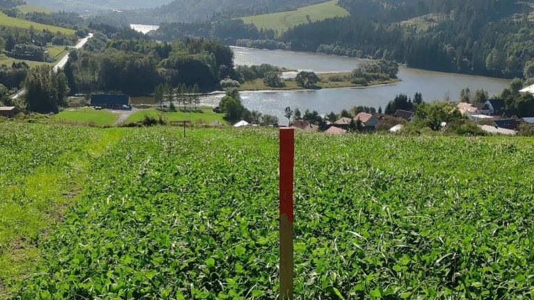 2x Slnečný pozemok orientácia juh, Dolný Štefanov Nad Oravou