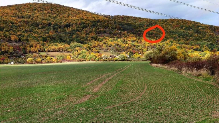 Predám staršiu chalupu.