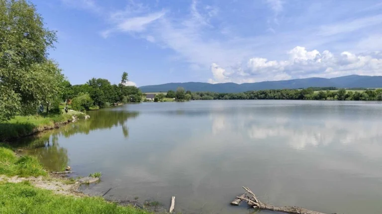 Viničný pozemok Kozárovce