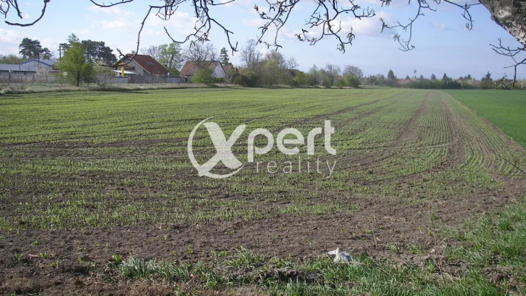 Predaj pozemok v celku Orná pôda 46.000m2 kataster Čakany ok
