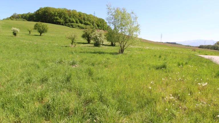 Investičný stavebný pozemok /5464 m2/, Žilina - Brezany