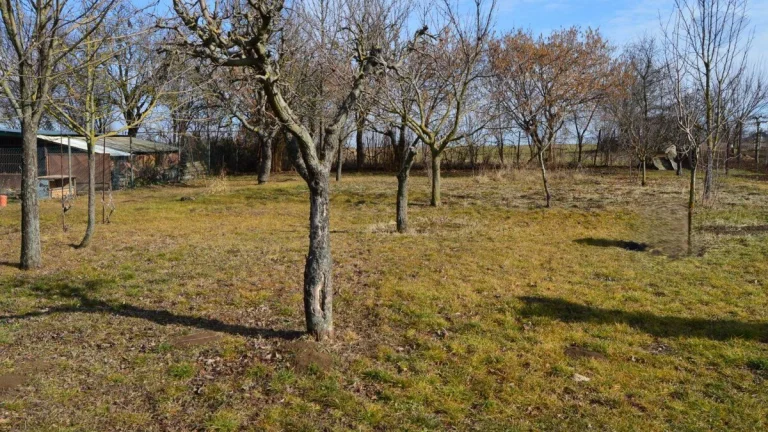 Predaj pozemok Golianovo EXKLUZÍVNE