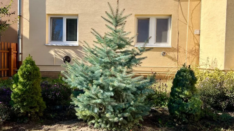 3 izbový byt s vlastným parkovacím miestom v centre mesta